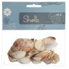 Bag of Mixed Shells Christmas Craft Supplies|