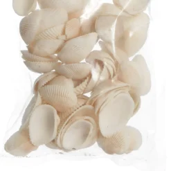 Bag of Small Clam Shells Christmas Craft Supplies|