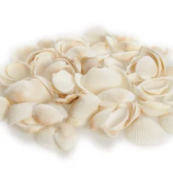 Bag of Small Clam Shells Christmas Craft Supplies|