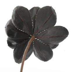 Black Magnolia Flower Stem with Twine Trim Christmas Flowers|