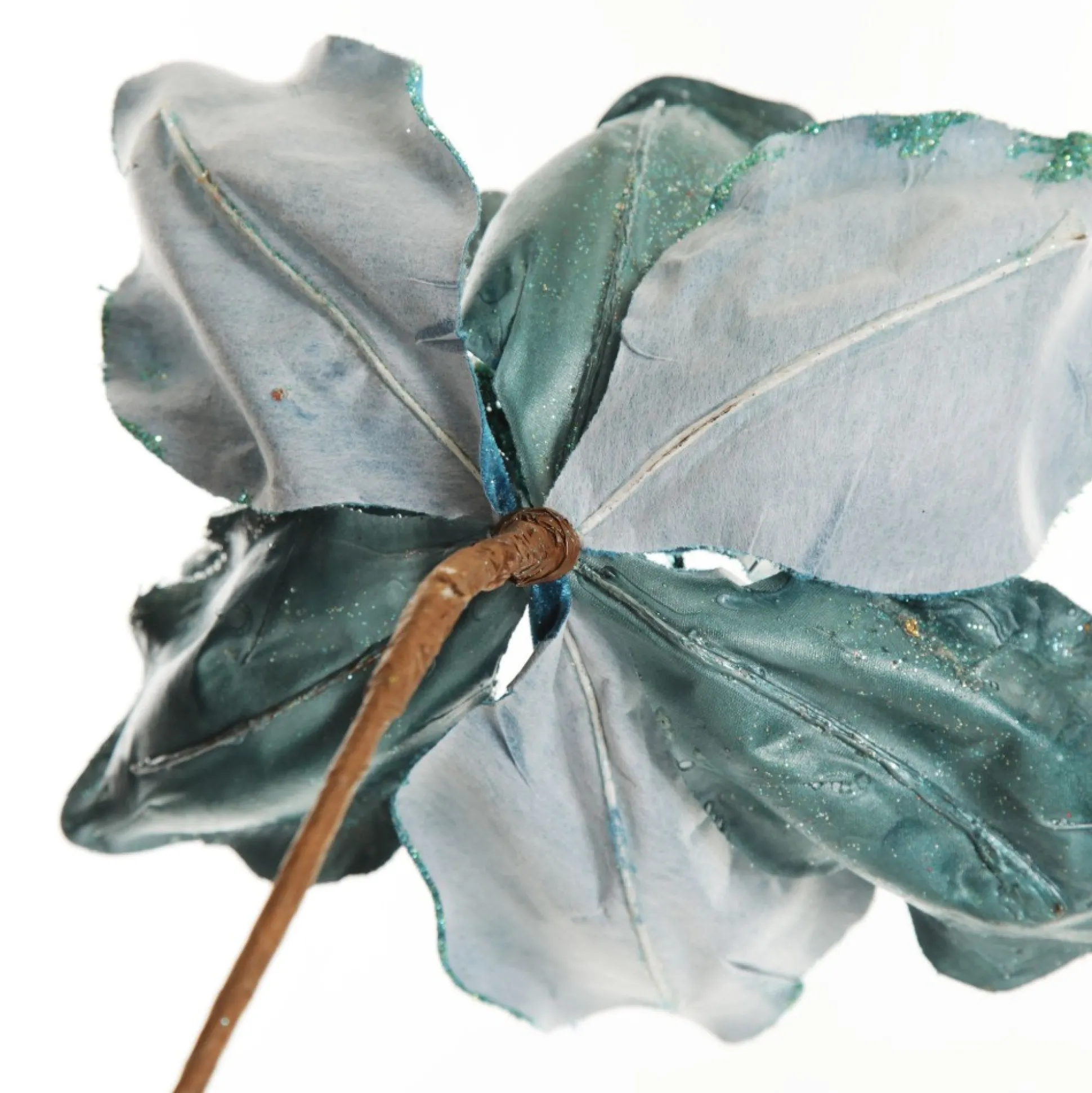 Blue Magnolia Flower on Stem Christmas Flowers|