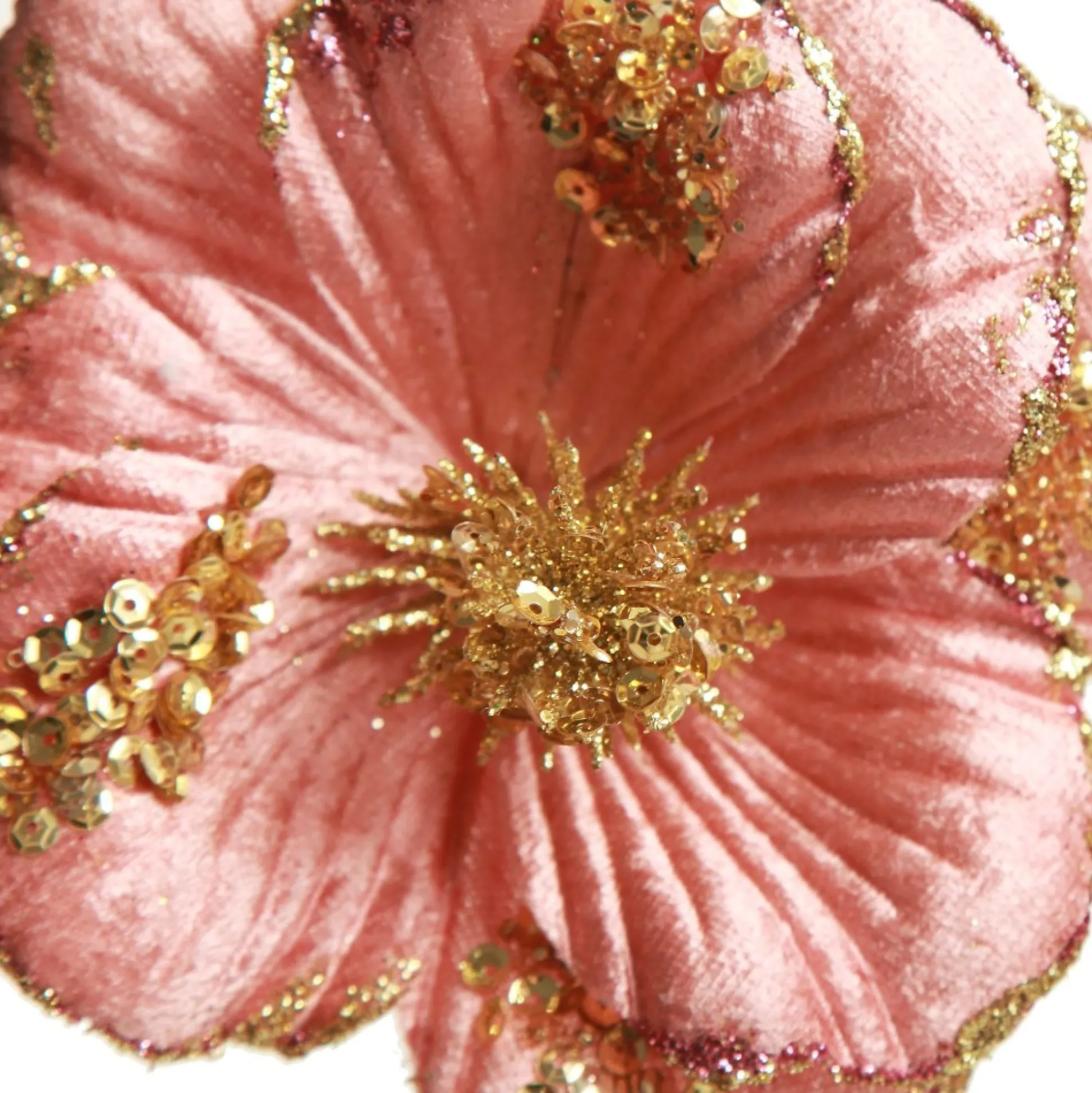 Blush Velvet Magnolia Flower with Gold Sequin Tips Christmas Flowers|