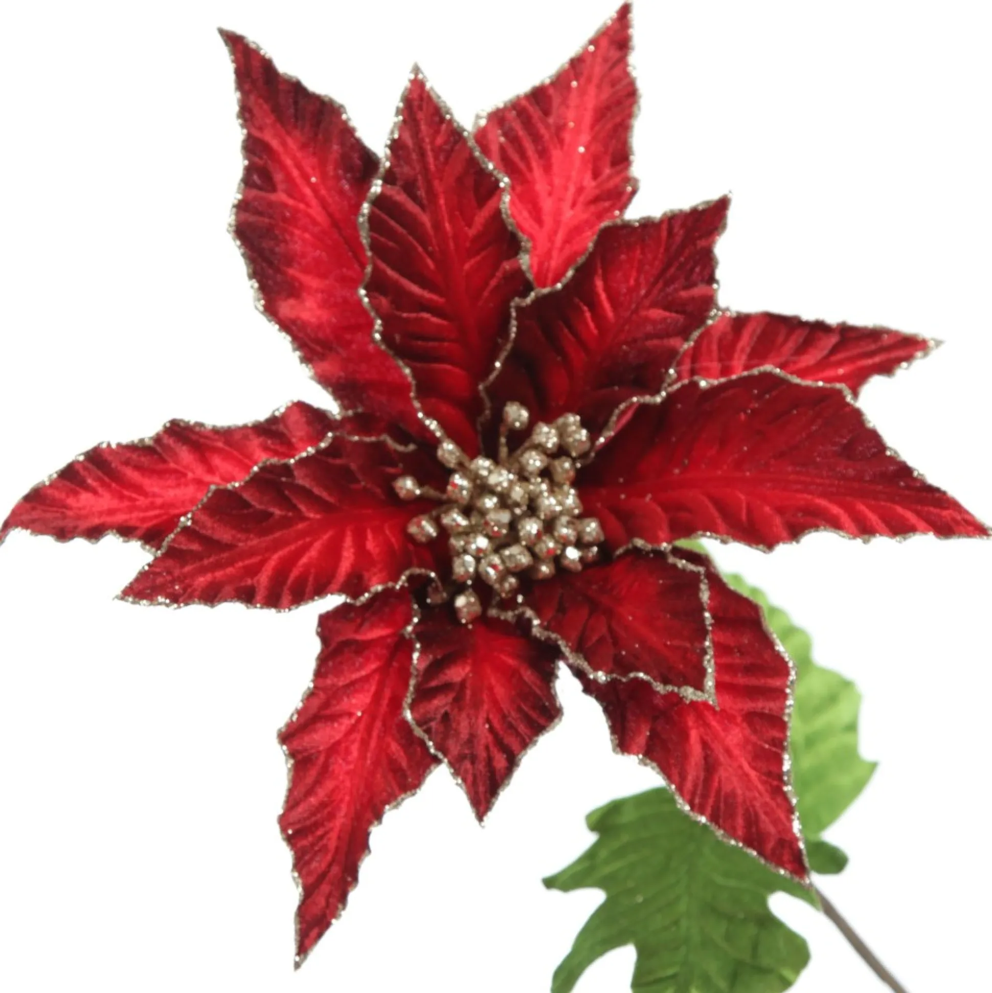 Burgundy Velvet Poinesttia Flower Stem with Gold Glitter Christmas Flowers|