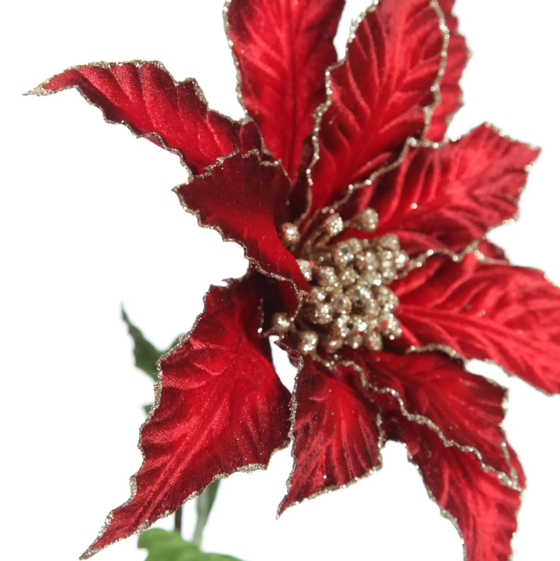 Burgundy Velvet Poinesttia Flower Stem with Gold Glitter Christmas Flowers|