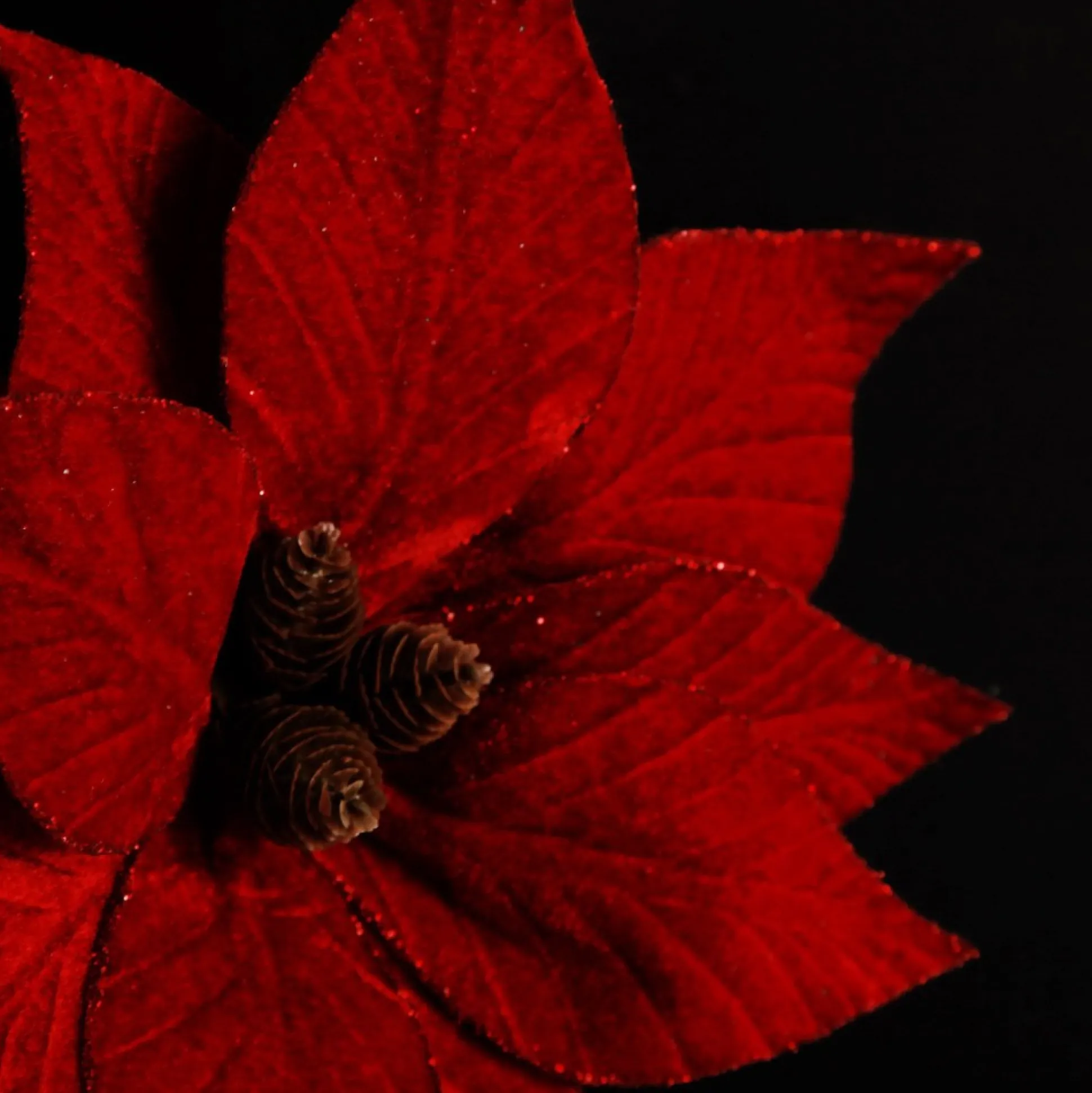 Burgundy Velvet Poinsettia Flower Stem Christmas Flowers|