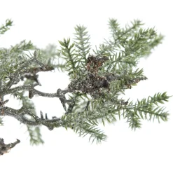 Cedar Branch Spray Christmas Sprays|