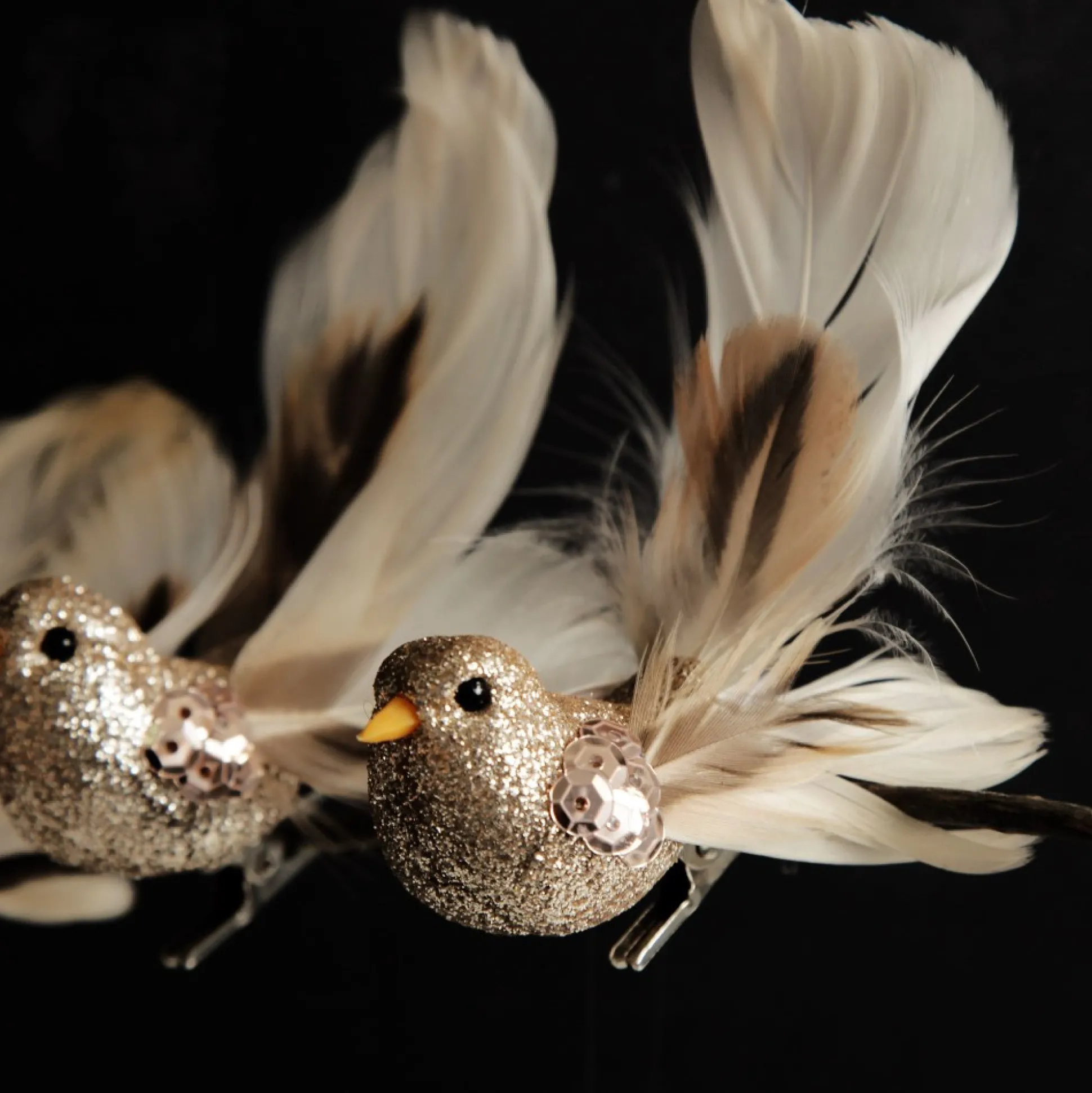 Champagne Bird Clip with Feather Tail - Set of 3 Butterflies And Birds|Champagne Bird Clip With Feather Tail - Set Of 3
