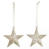 Champagne Glitter Star Tree Decorations - Set of 2 Snowflakes And Stars|