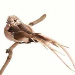 Champagne Pink Bird Clip Butterflies And Birds|