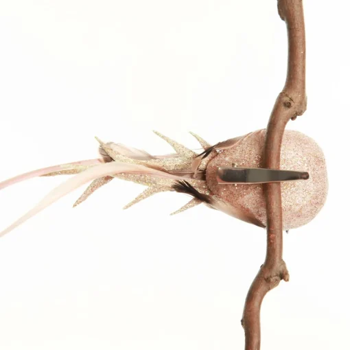 Champagne Pink Bird Clip Butterflies And Birds|