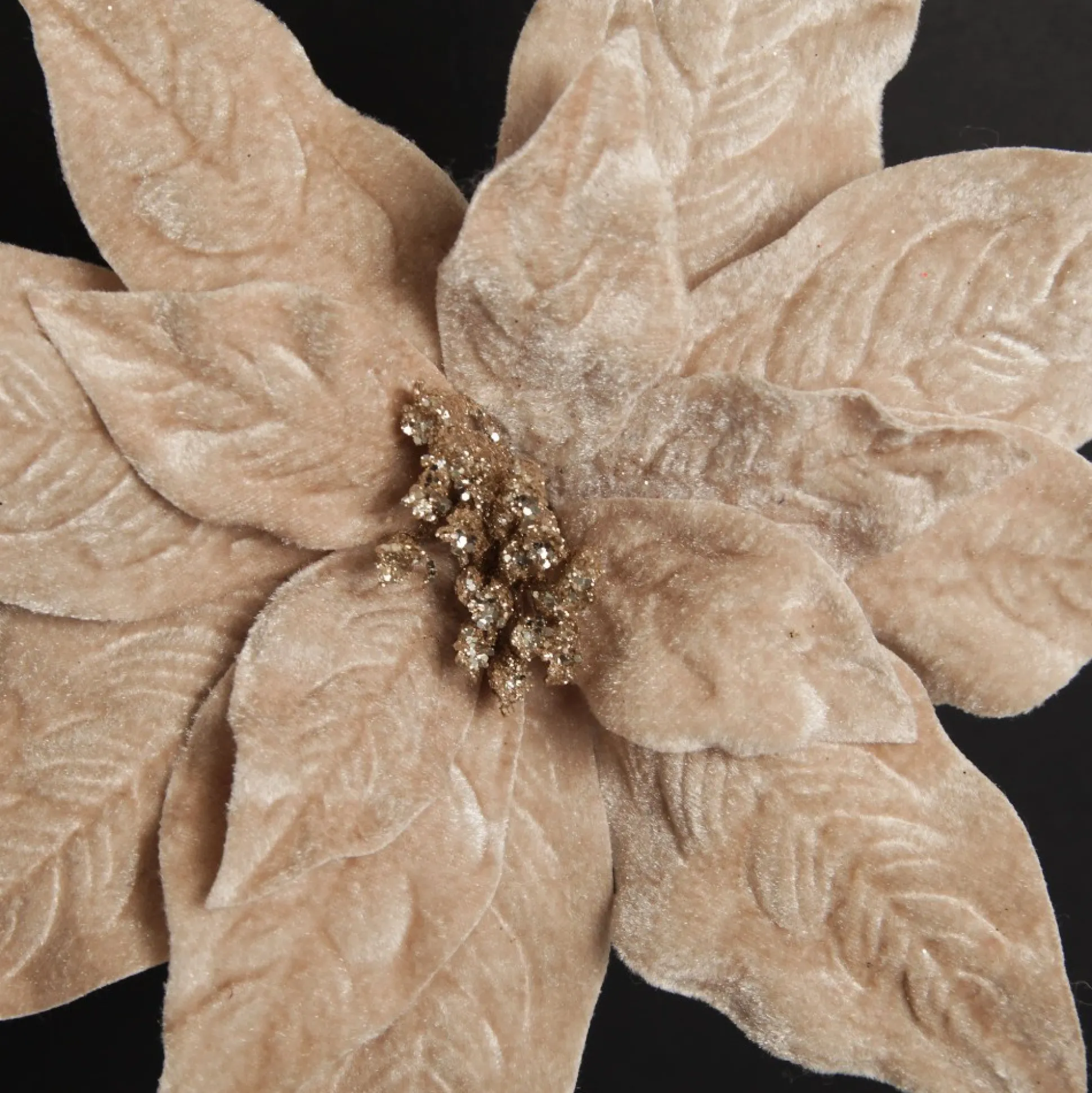 Champagne Velvet Poinsettia Flower Stem Christmas Flowers|