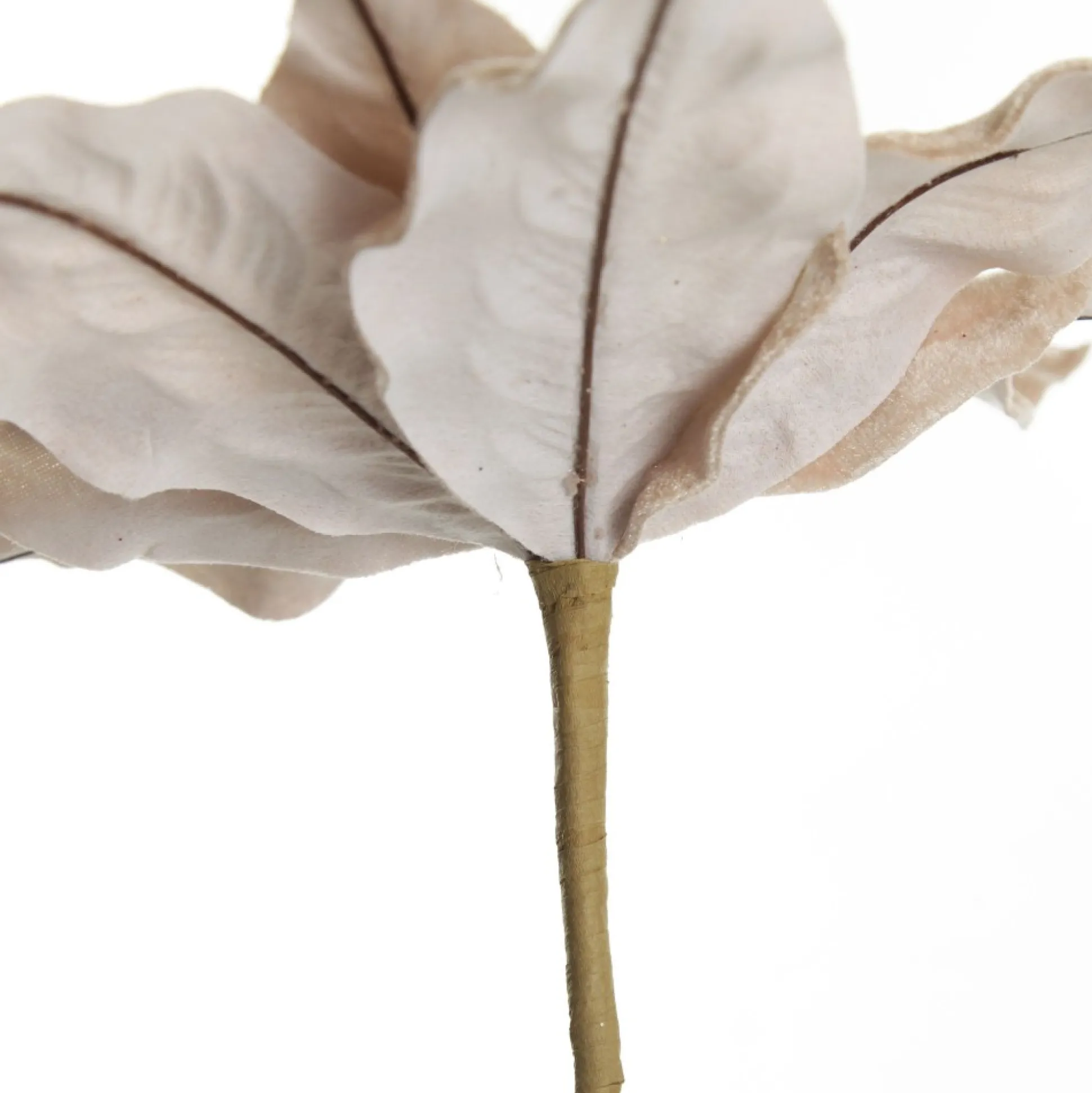 Champagne Velvet Poinsettia Flower Stem Christmas Flowers|