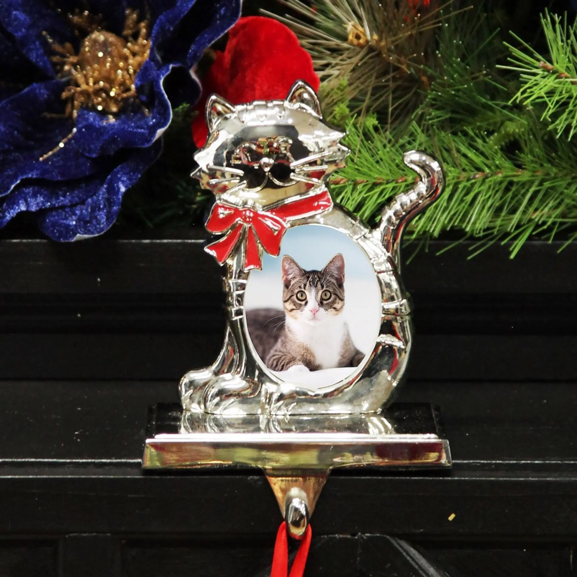Chrome Cat Christmas Stocking Hanger with Photo Holder Pet Stockings|