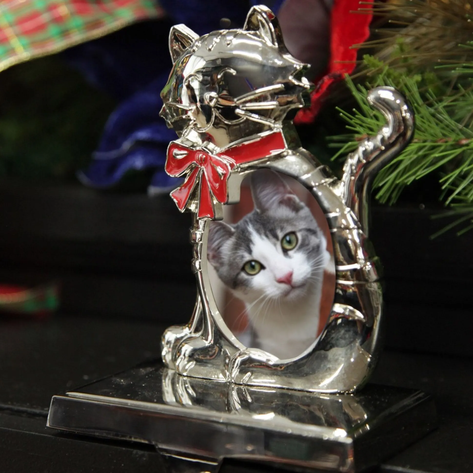 Chrome Cat Christmas Stocking Hanger with Photo Holder Pet Stockings|