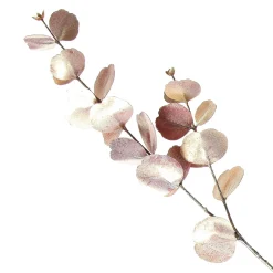 Dusky Pink Round Leaf Eucalyptus Dollar Gum Spray Christmas Sprays|