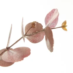 Dusky Pink Round Leaf Eucalyptus Dollar Gum Spray Christmas Sprays|