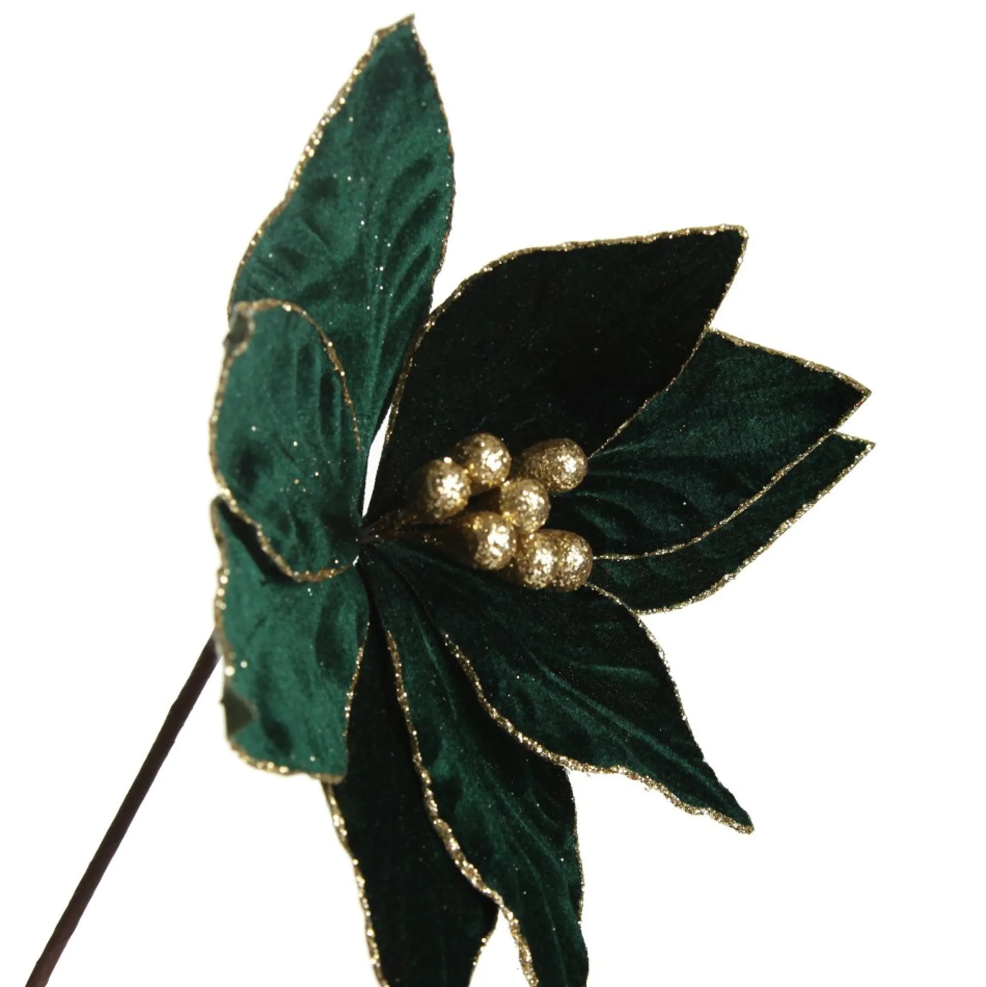Emerald Poinsettia Flower Stem with Gold Glitter Edge Christmas Flowers|