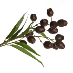 Eucalyptus Brown Gumnut Branch Spray Christmas Sprays|