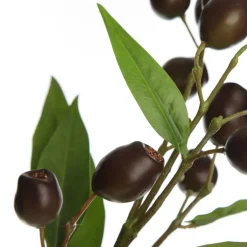 Eucalyptus Brown Gumnut Branch Spray Christmas Sprays|