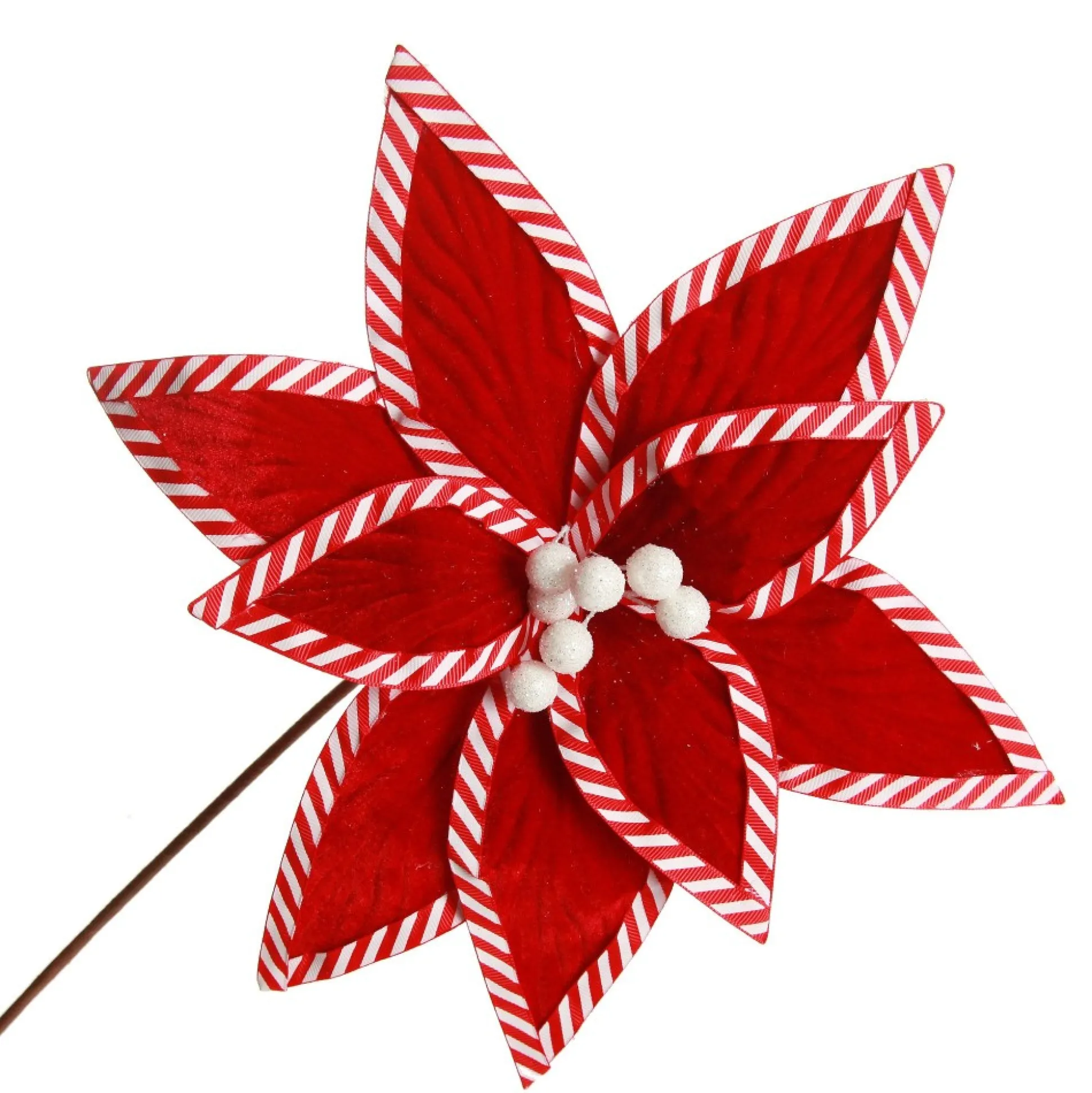 Festive Red Flower Stem with Striped Edge Christmas Flowers|