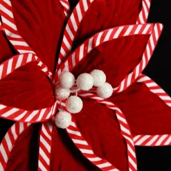 Festive Red Flower Stem with Striped Edge Christmas Flowers|