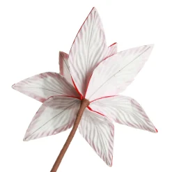 Festive White Flower Stem with Striped Edge Christmas Flowers|