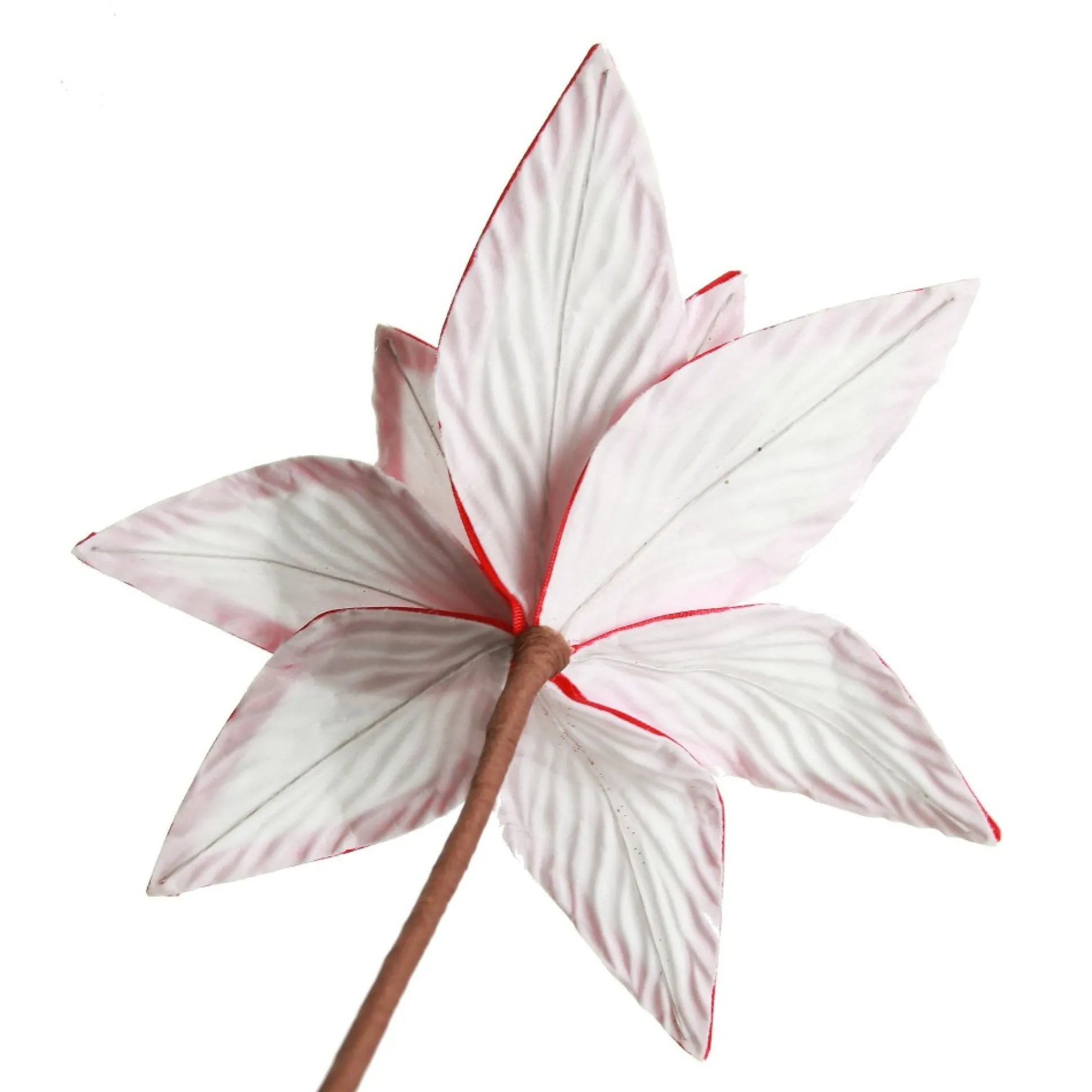 Festive White Flower Stem with Striped Edge Christmas Flowers|