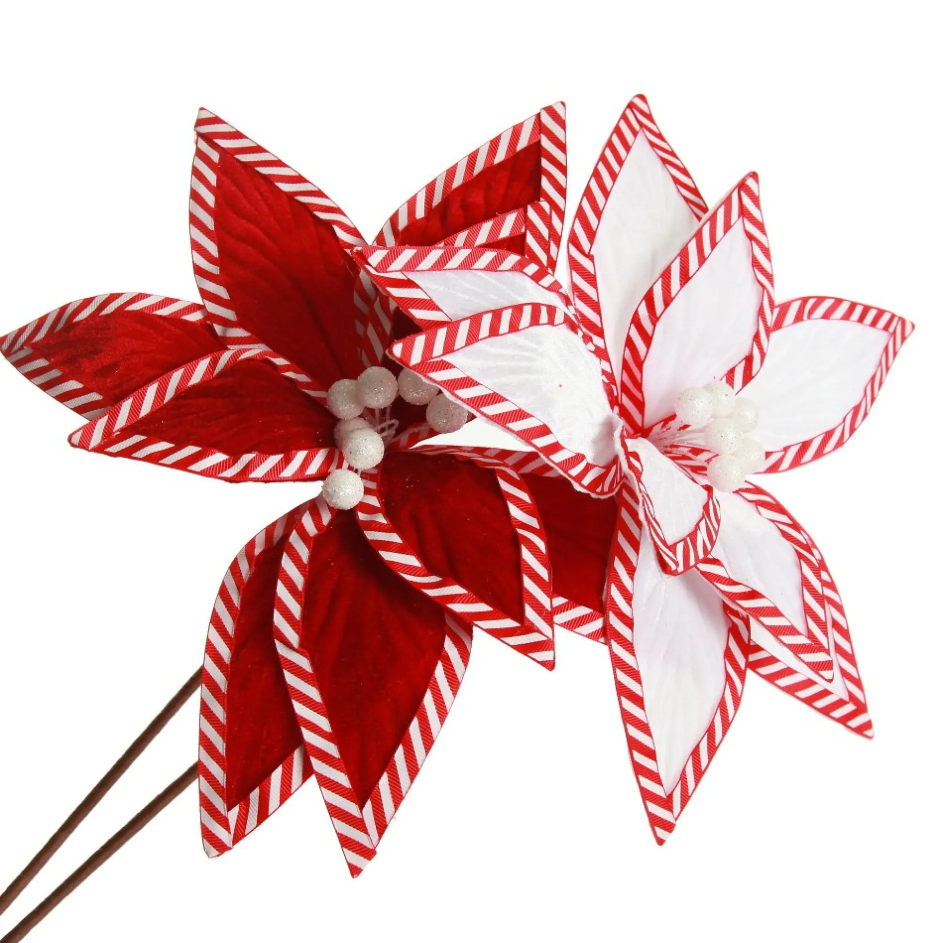 Festive White Flower Stem with Striped Edge Christmas Flowers|