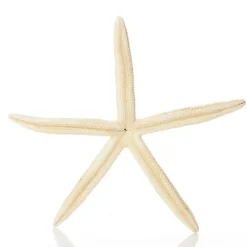 Finger Starfish White Beach Decorations|