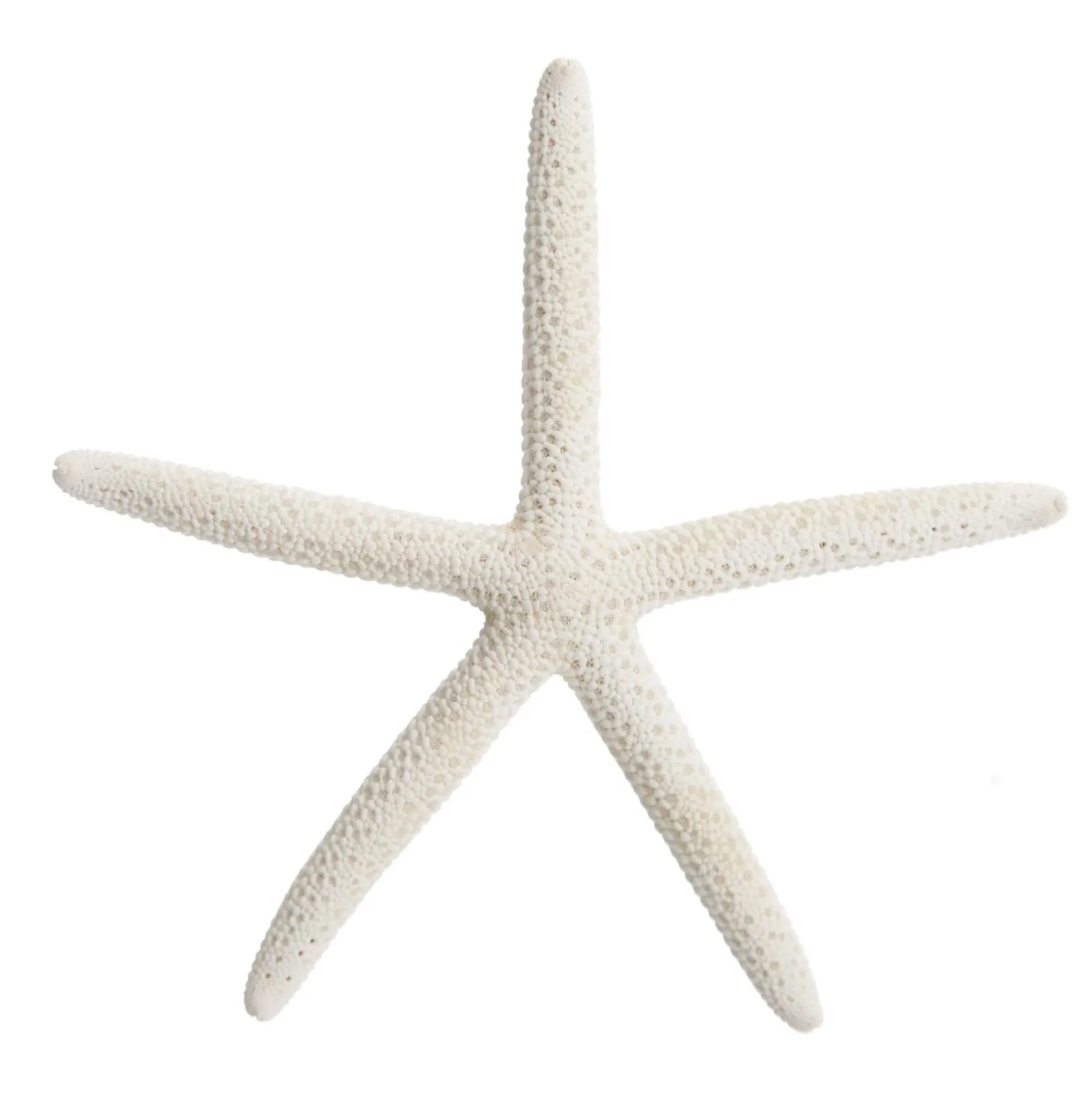 Finger Starfish White Small Beach Decorations|