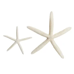 Finger Starfish White Small Beach Decorations|