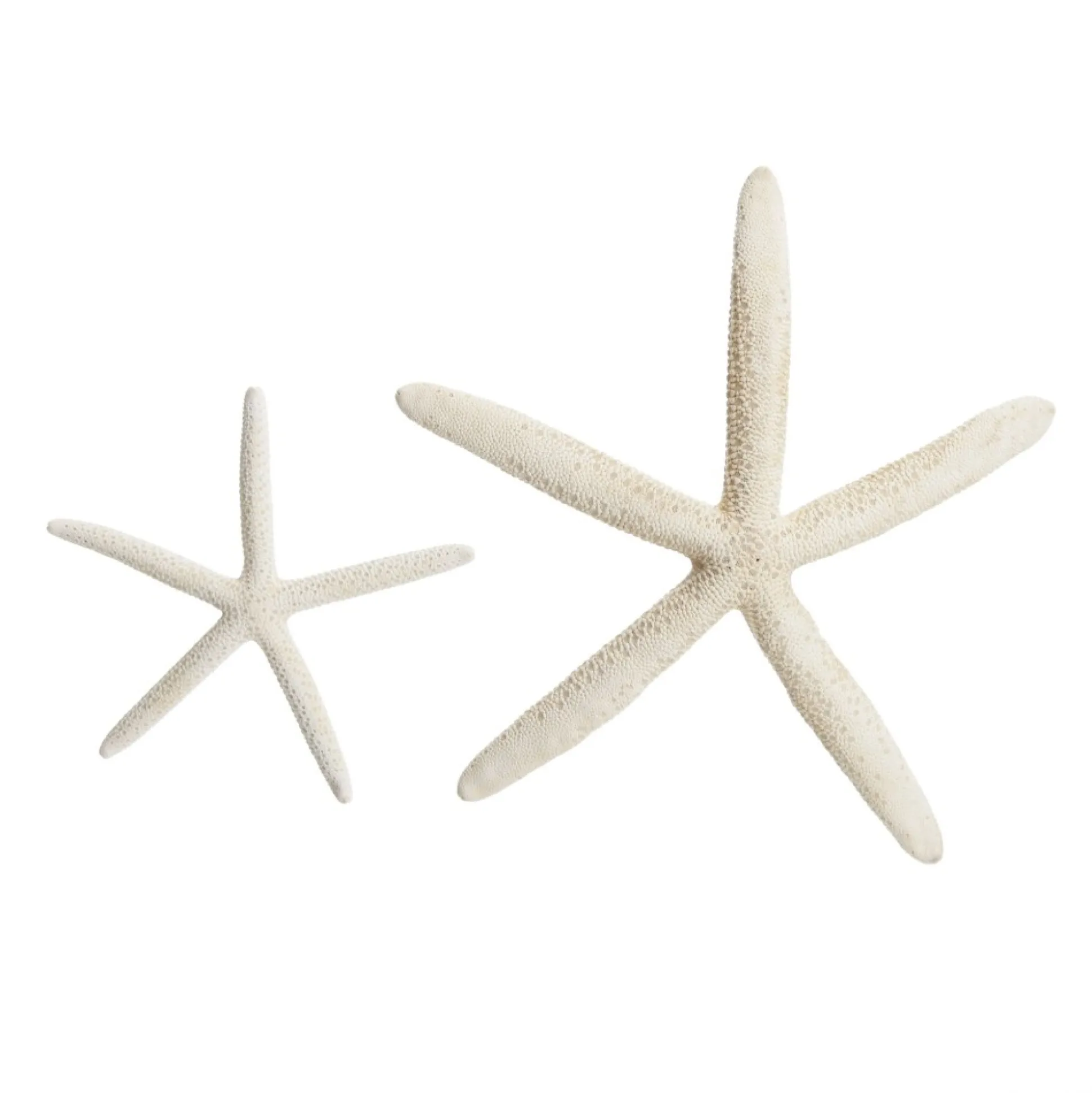 Finger Starfish White Small Beach Decorations|