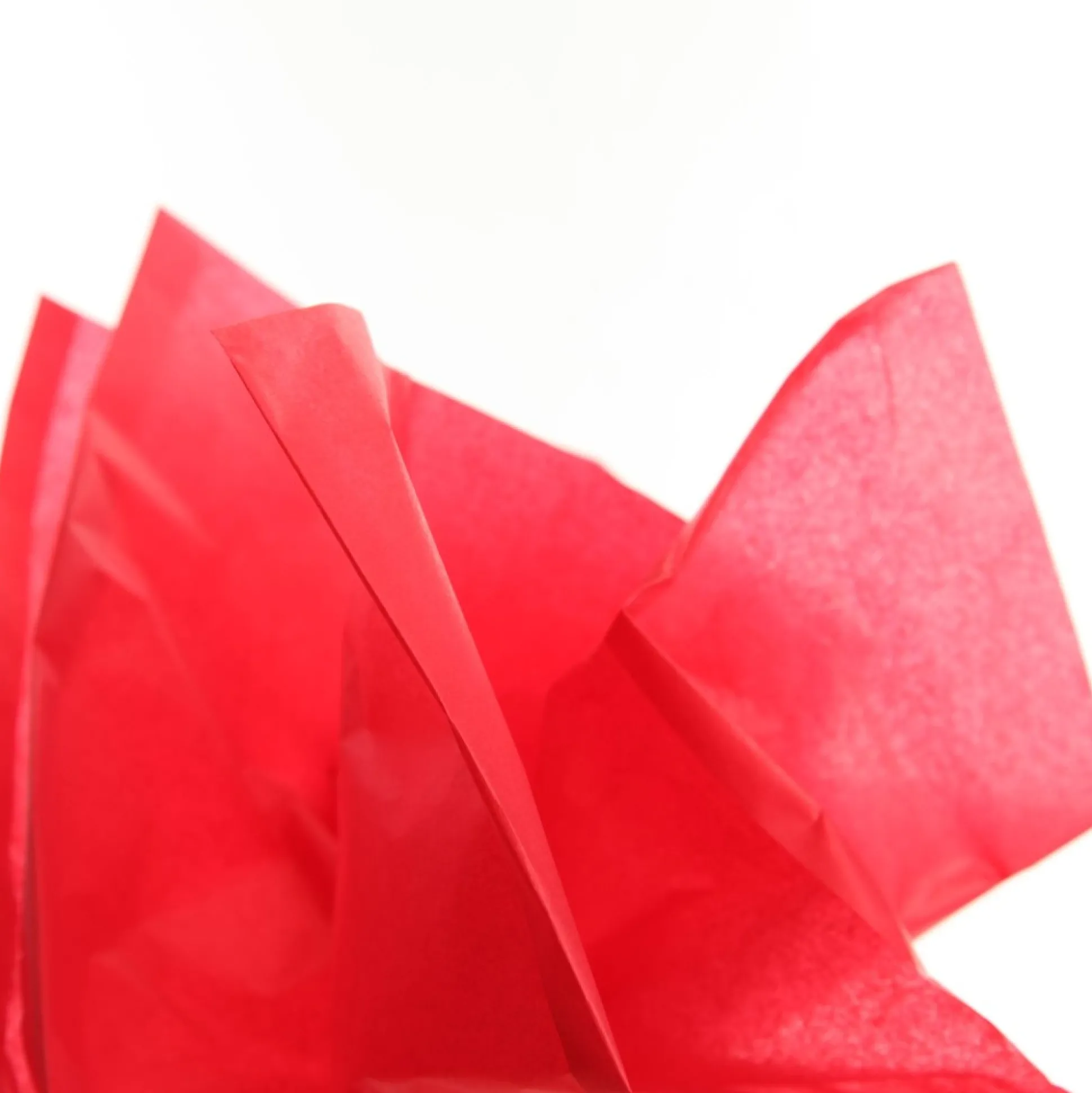 Floral Merry Christmas and Red Tissue Paper Wrap 10 Pack Gift Wrap, Boxes, Bags & Tags|