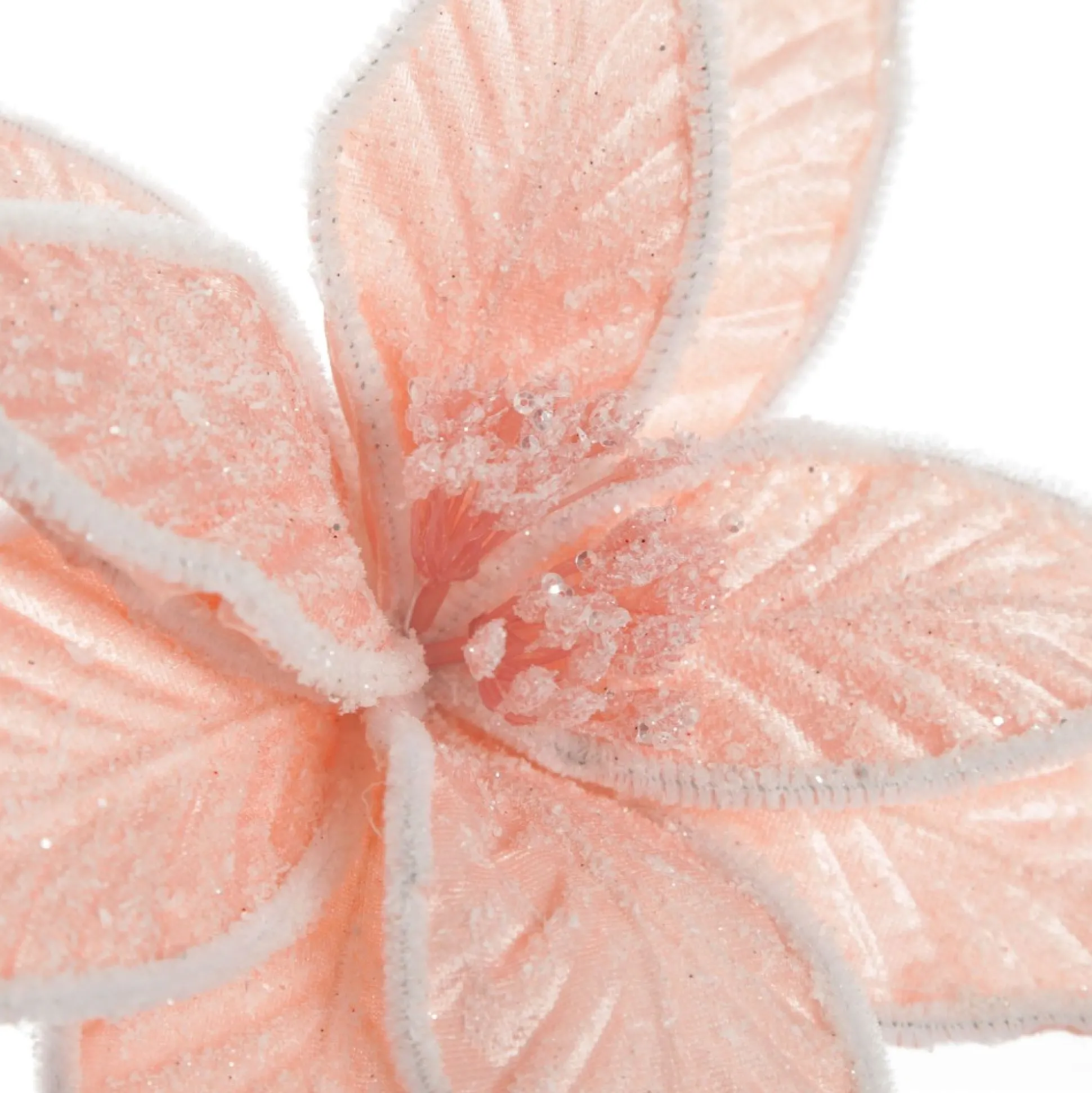 Frosted Pink Flower Clip with White Edge Christmas Flowers|