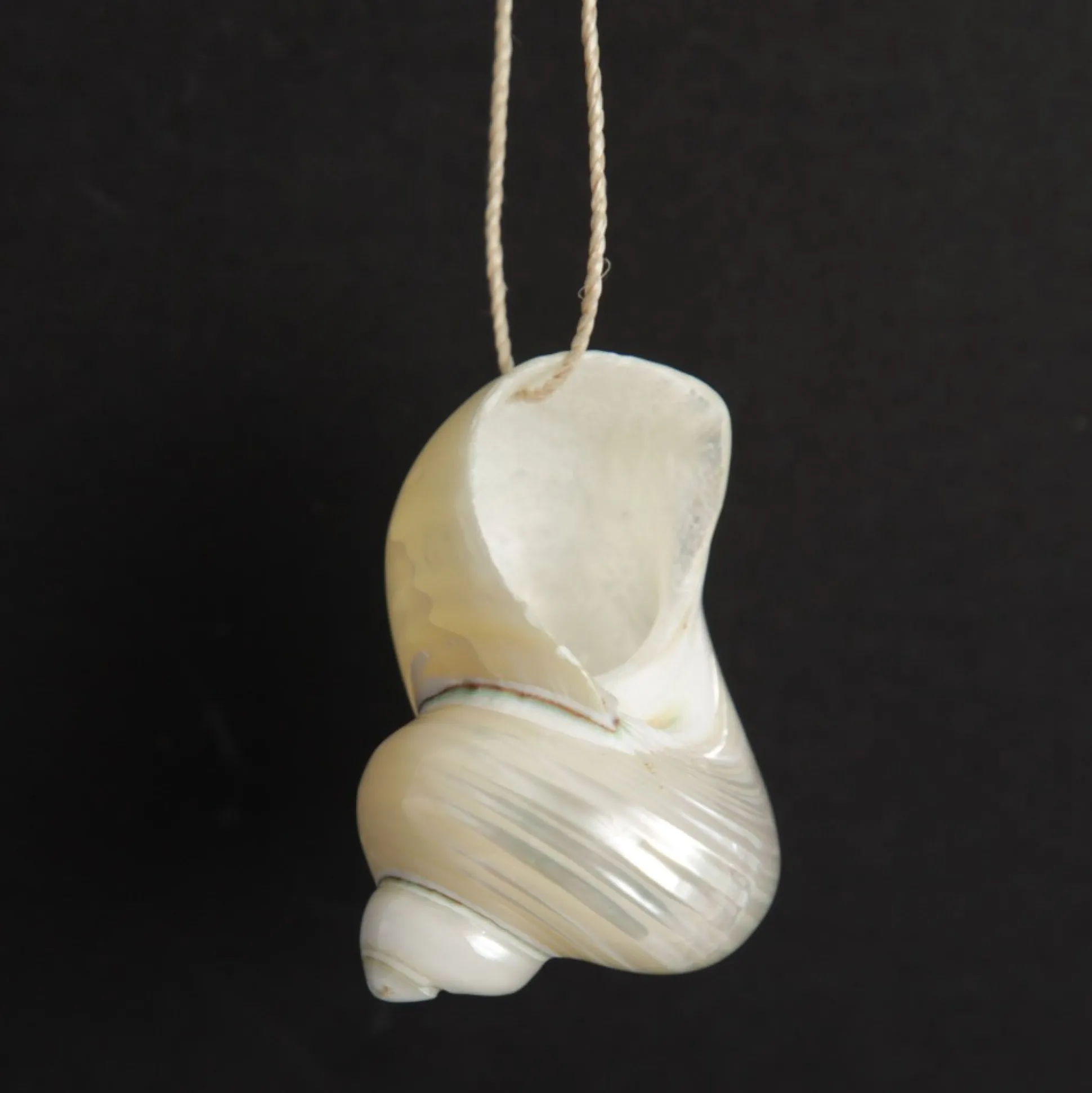 Hanging Silvermouth Shell Tree Decoration Beach Decorations|