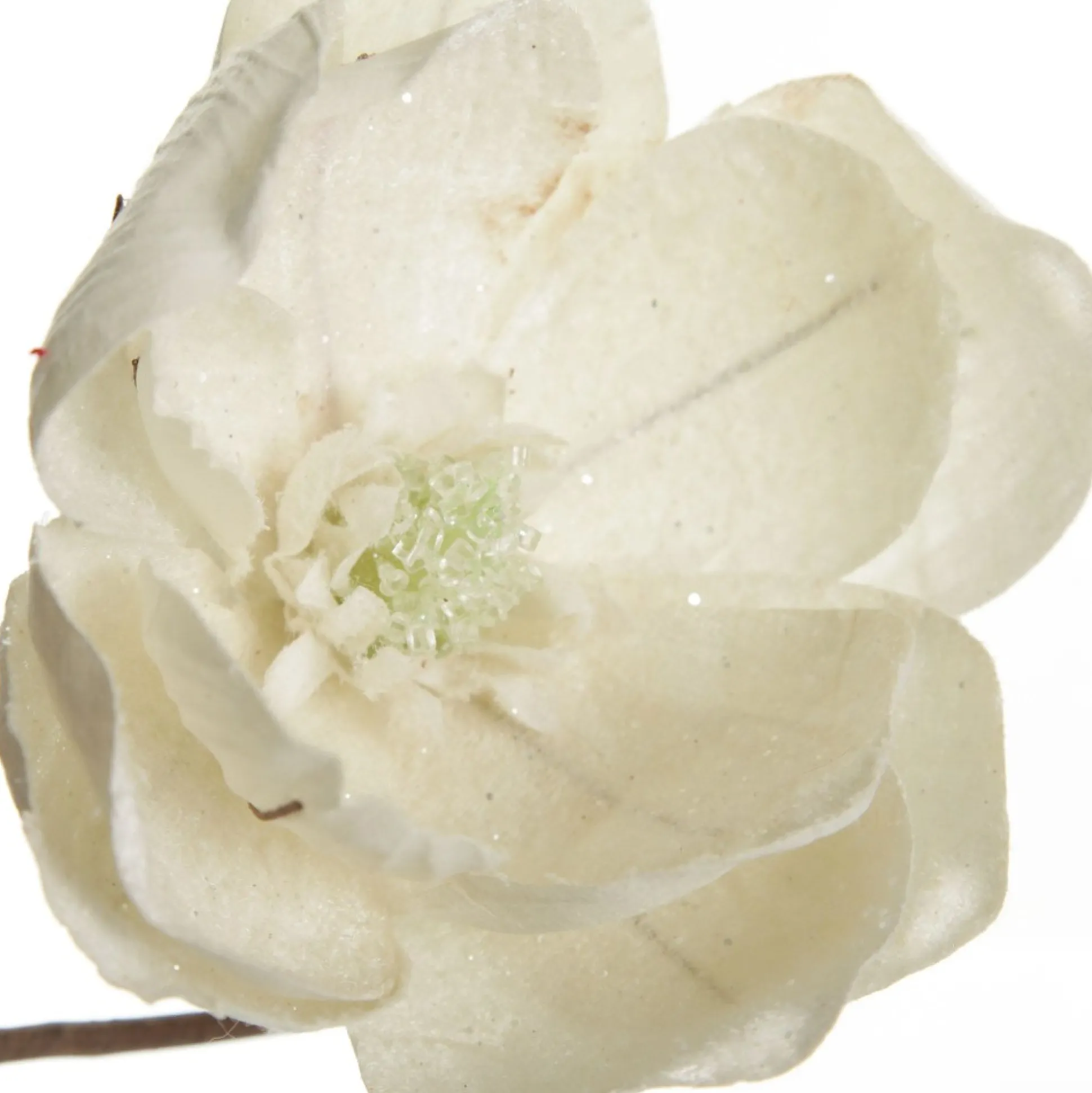 Ivory Glitter Sprinkled Magnolia Flower Clip Christmas Flowers|