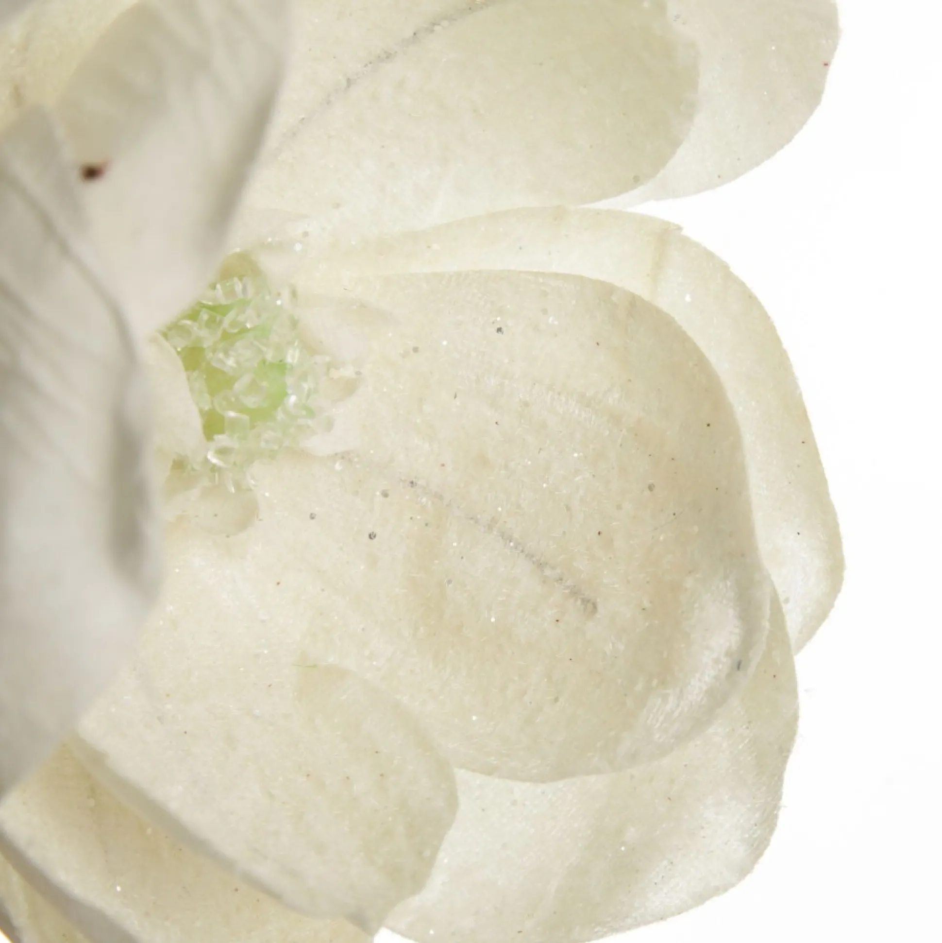 Ivory Glitter Sprinkled Magnolia Flower Clip Christmas Flowers|