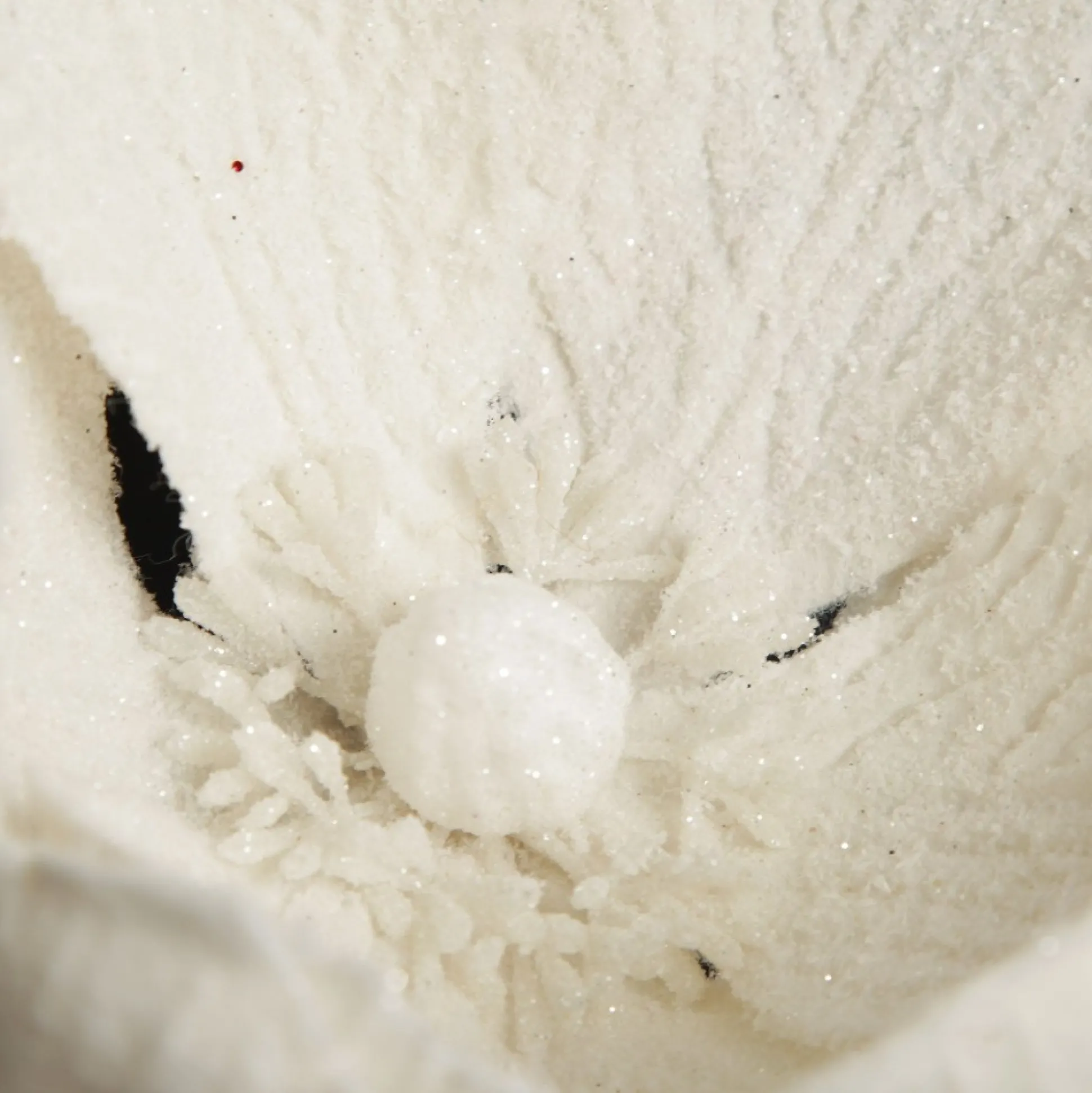 Ivory Magnolia Flower Stem Christmas Flowers|