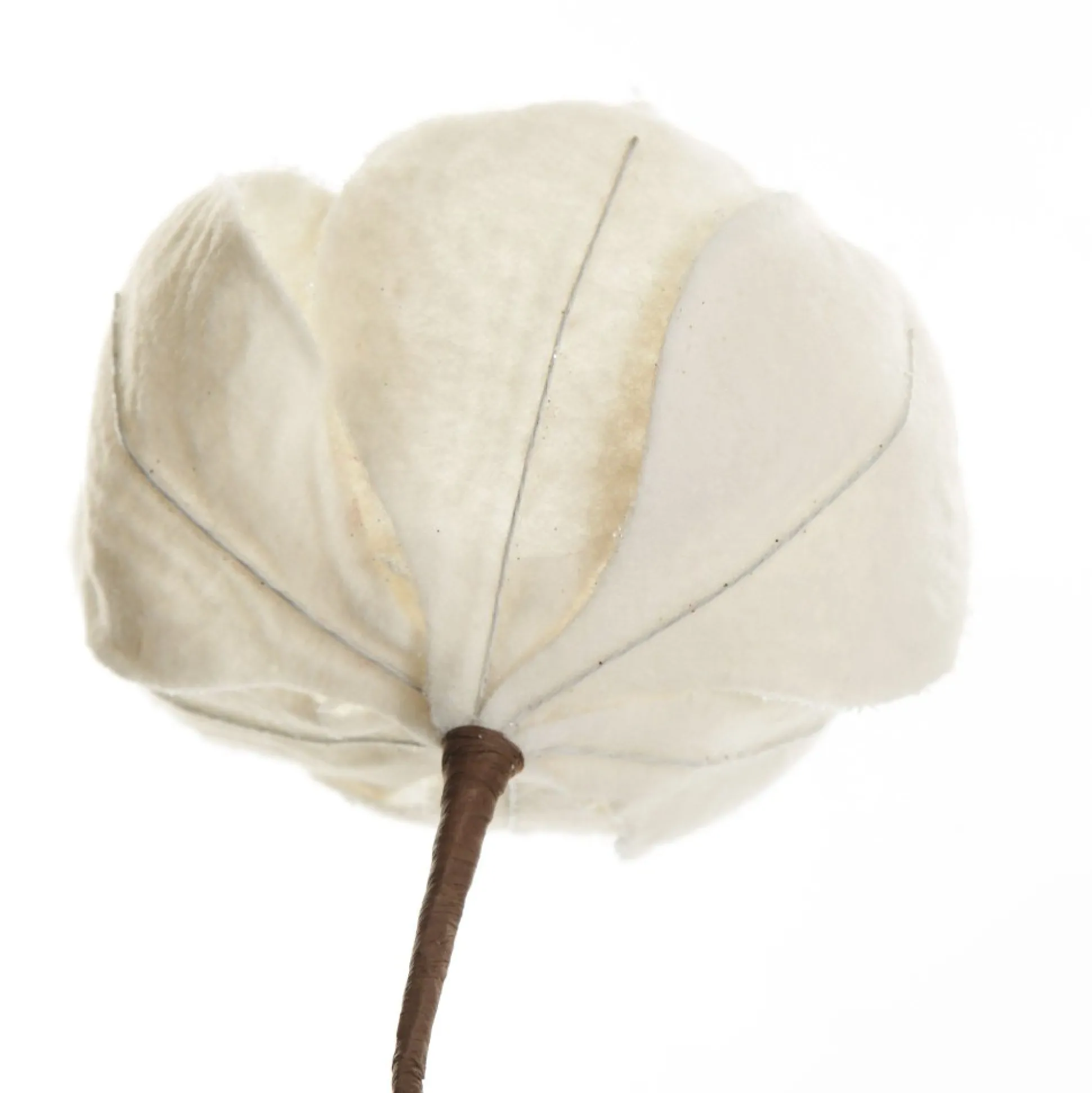 Ivory Magnolia Flower Stem Christmas Flowers|