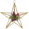 Lightup Gold Tinsel Wire 3D Star Tree Topper with Cone and Berry Tree Toppers|