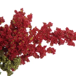 Mini Berry Native Bush Christmas Red Berry Spray Christmas Sprays|