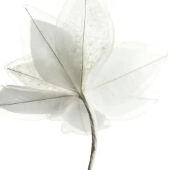 Mixed Petal White Poinsettia Flower Stem Christmas Flowers|