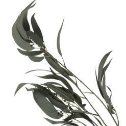 Native Eucalyptus Leaf Spray with Gumnuts Christmas Sprays|