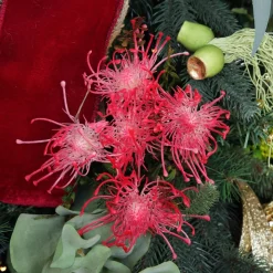 Native Red Pink Pincushion Protea Flower Spray Christmas Flowers|