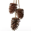 Natural Pine Cone Drop Trio Pinecones And Acorns|