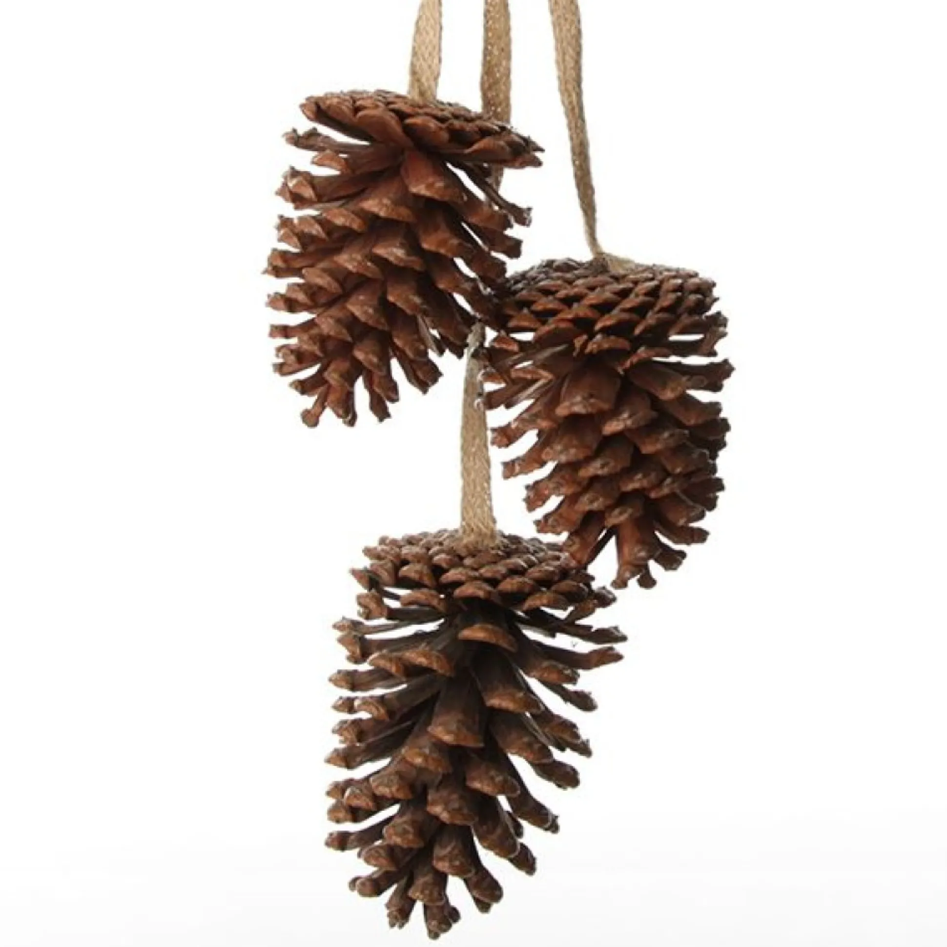 Natural Pine Cone Drop Trio Pinecones And Acorns|