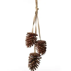 Natural Pine Cone Drop Trio Pinecones And Acorns|
