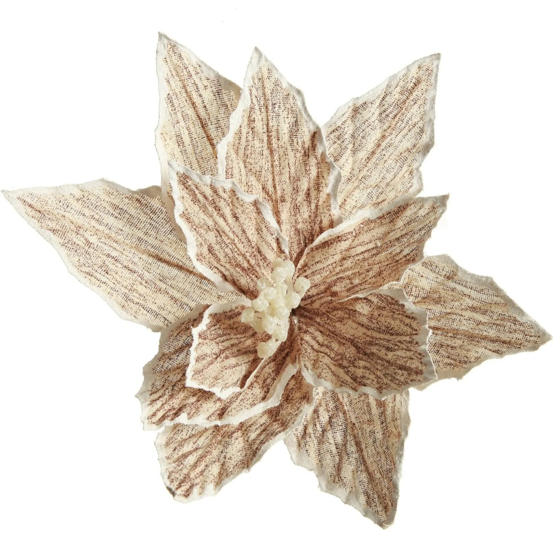 Natural Poinsettia Flower Clip with White Trim Christmas Flowers|