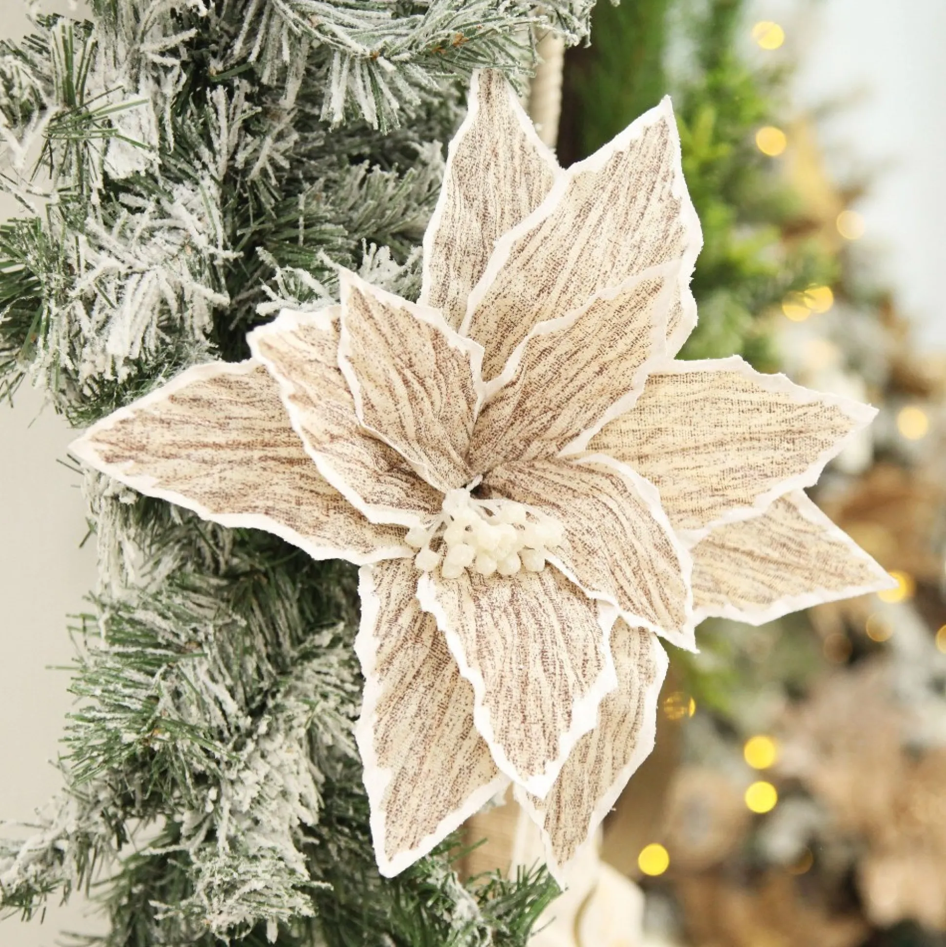 Natural Poinsettia Flower Clip with White Trim Christmas Flowers|