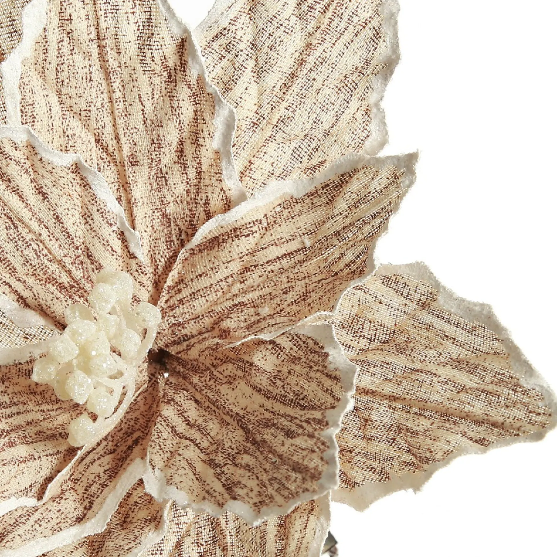 Natural Poinsettia Flower Clip with White Trim Christmas Flowers|